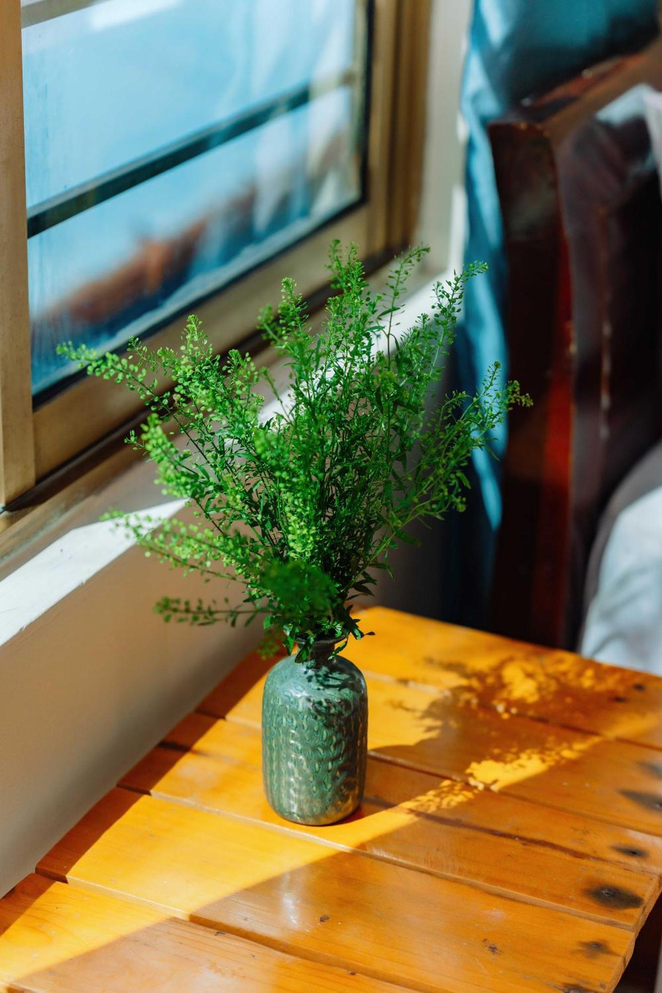 Luna'S House Hostel Chan Chau 外观 照片