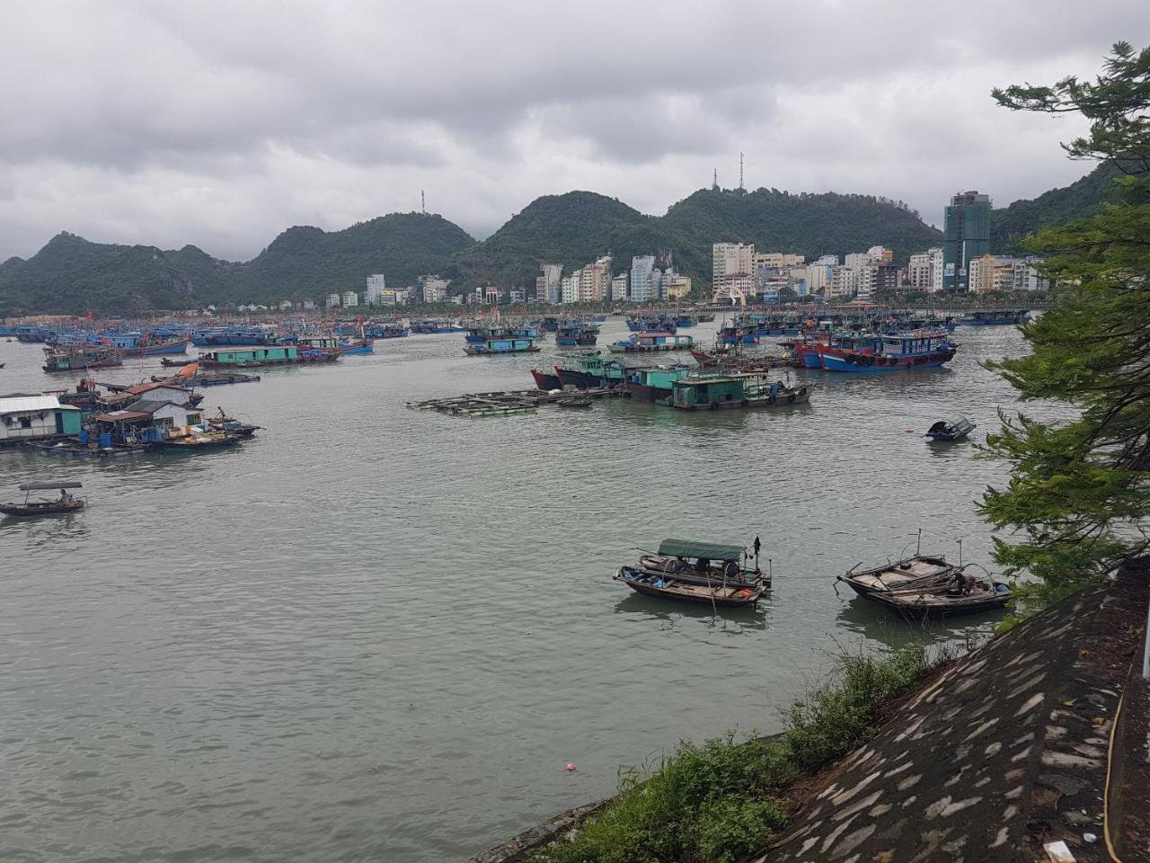 Luna'S House Hostel Chan Chau 外观 照片